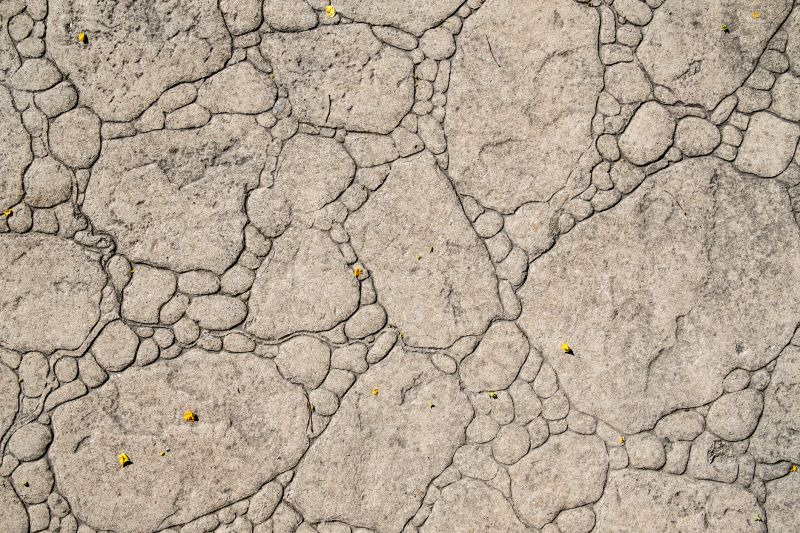 Decorative Concrete Repair in Sacramento, CA