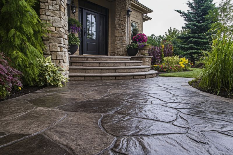 Elegant Stamped Concrete Entryway